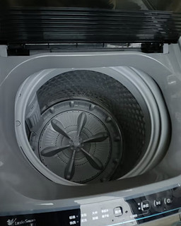 小天鹅（LittleSwan）波轮洗衣机全自动 直驱变频 10公斤大容量 免清洗不脏桶 升级除螨 