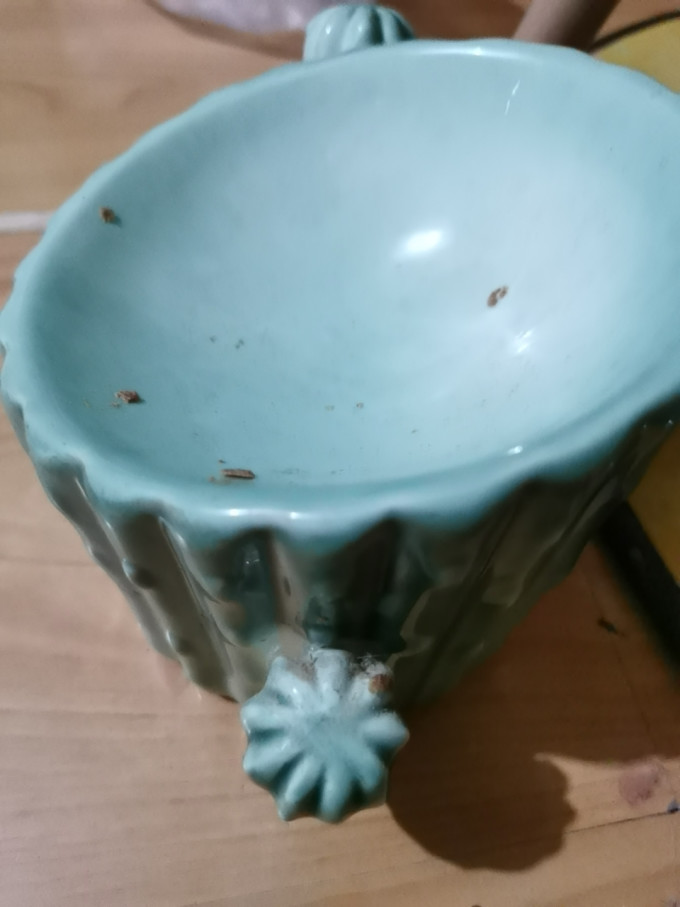 烁坭宠物食具水具