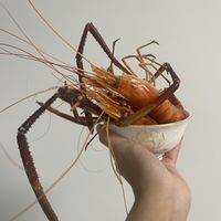谁在说罗氏虾的钳子没肉我跟谁急，这大虾的钳子肉不比螃蟹少，一虾两吃