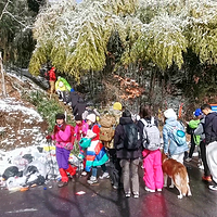 浙北第一高峰龙王山这几天人可真够多的！