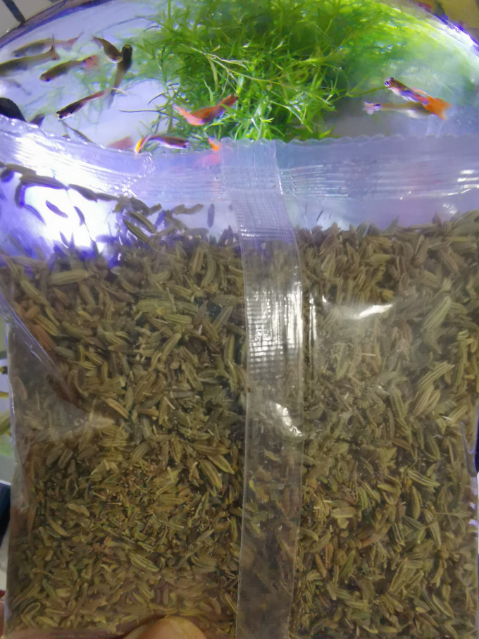 调味品