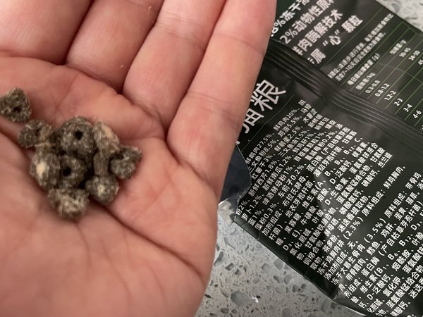 快来试试山水大鹅猫粮，让你的猫咪爱上飞翔的感觉！