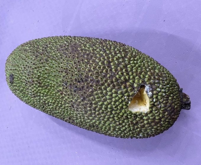鲜贡园新鲜水果