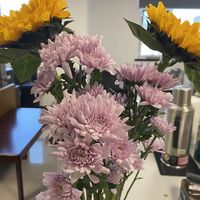 摆一束鲜花，心情不一样