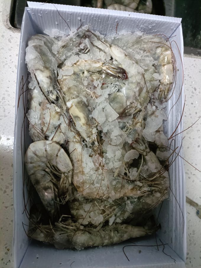 东方甄选虾类