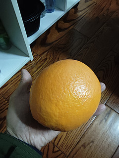 巨大好吃的橙子，你吃过吗？