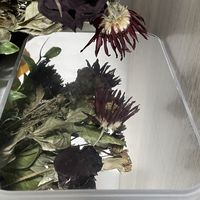天猫超市买的小镜子