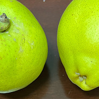 水果 篇十一：还记得过年的时候吃的库尔勒香梨吗？都是只有过年的时候才有的吃香梨！