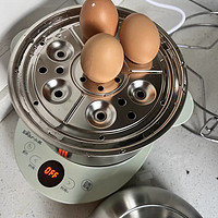 小熊煮蛋器：早餐神器，让每一天都充满温馨与活力