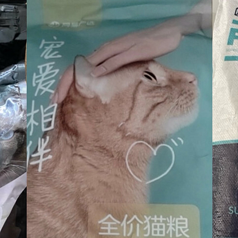 3款平价猫粮，给家里的毛孩子囤起来！