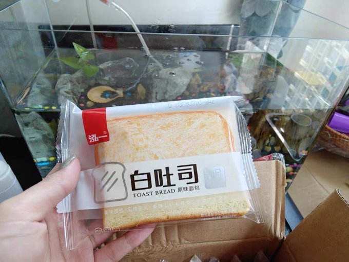 泓一面包