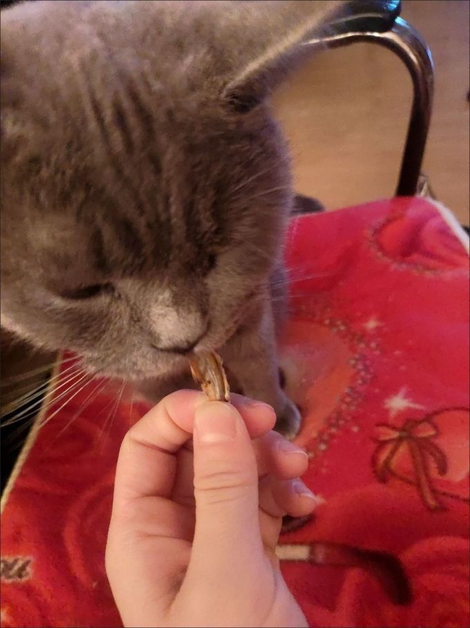 盼斯兔猫零食