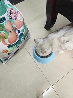 冻干鸡肉生骨肉幼猫成猫通用猫粮！