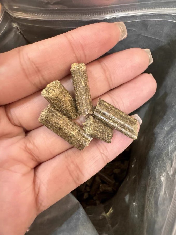 狗粮