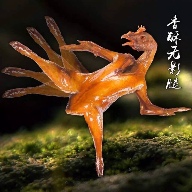 功夫鸡