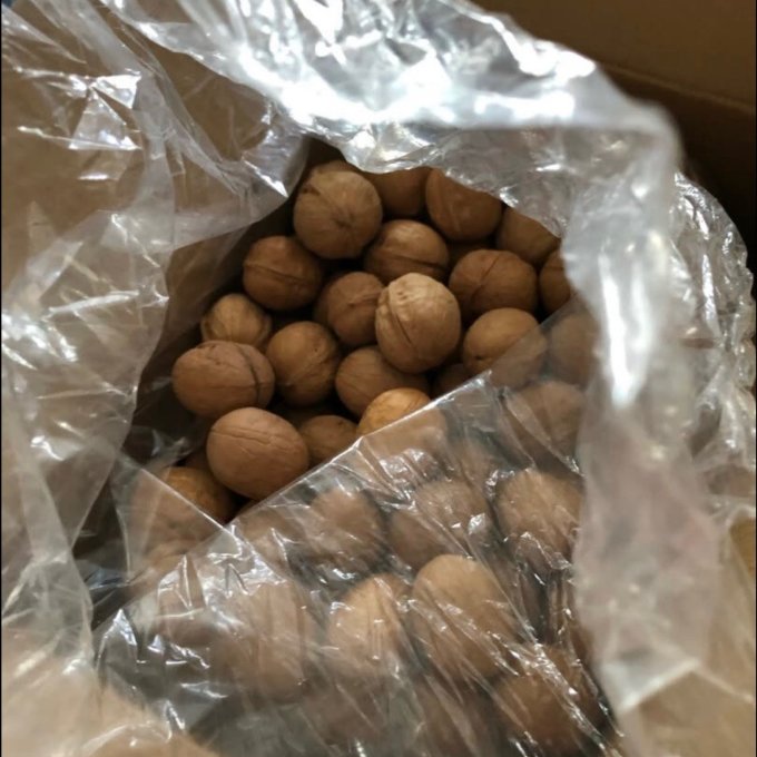 楼兰蜜语核桃