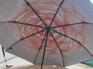 蕉下（beneunder）防紫外线晴雨伞