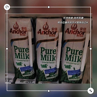 安佳（Anchor）4.4g高蛋白高钙全脂纯牛奶
