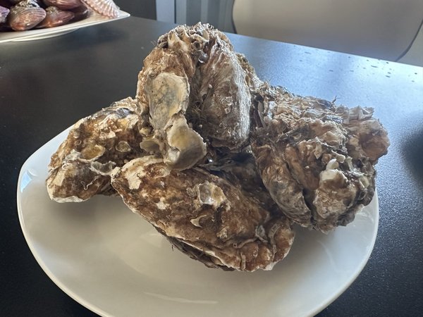 天津人的周末是不出门的