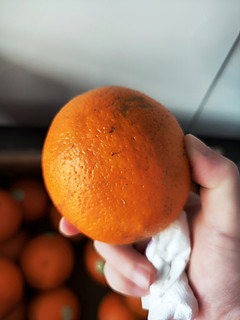       又到了吃储橙的季节！云冠橙走起！