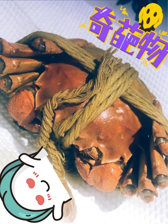 玺谣聚会餐饮