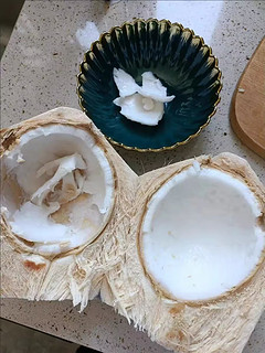 海南椰子