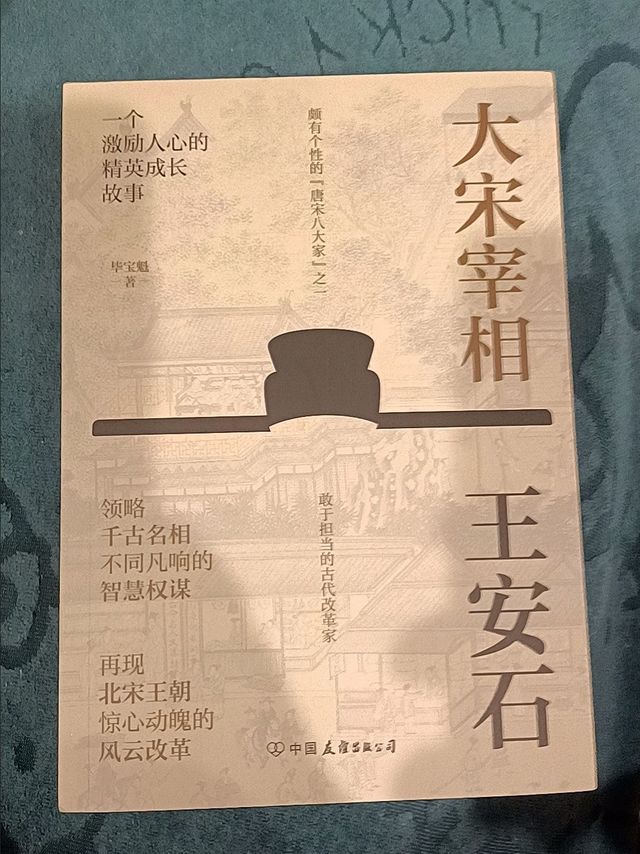 《大宋宰相王安石》