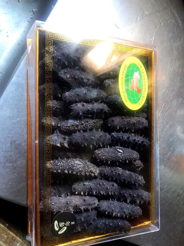 大连海参