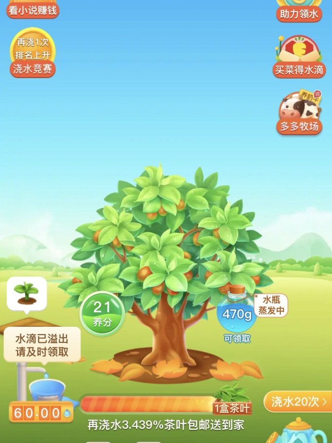 多多果园里的树成熟了吗