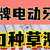 林凡雨的家居家电 篇三：电动牙刷究竟如何避坑？深度电动牙刷测评扉乐、飞利浦、欧乐B等主流产品对比，电动牙刷推荐年度总榜