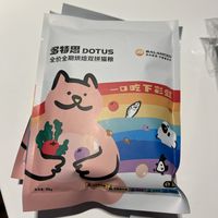 流浪猫恩物