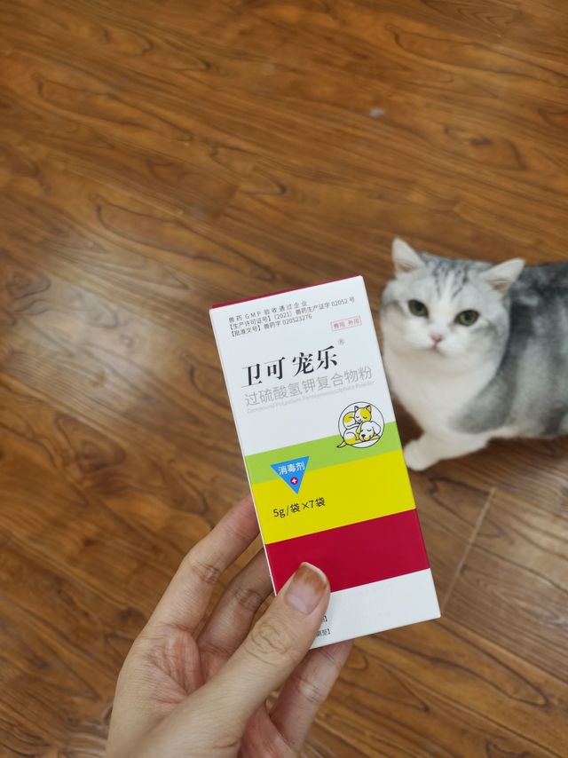 猫狗双全家庭都是如何进行环境消毒的！