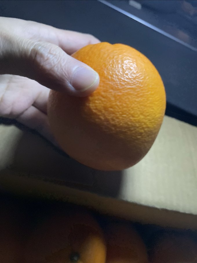 新鲜水果
