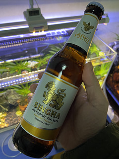 重温当年泰国夜店的时光，从这瓶泰国啤酒开始