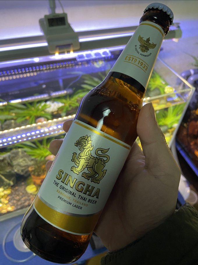 胜狮啤酒