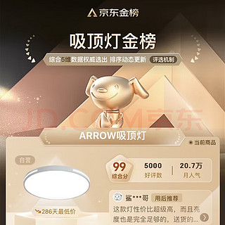 ARROW箭牌照明 卧室灯LED