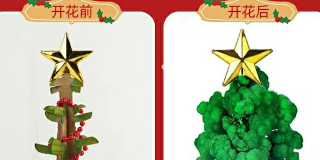 玩过纸树开花的小朋友都是幸运的人。
