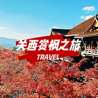 今年赏枫正秋天：日本关西赏枫之旅