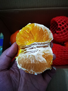 这个季节，爱媛38果冻橙无脑上吧