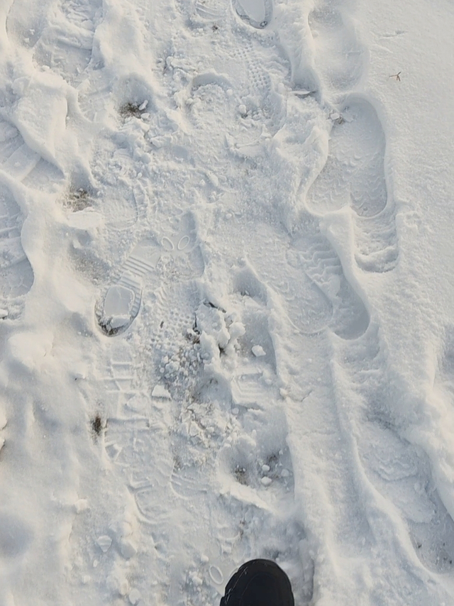 最喜欢听踩雪的声音