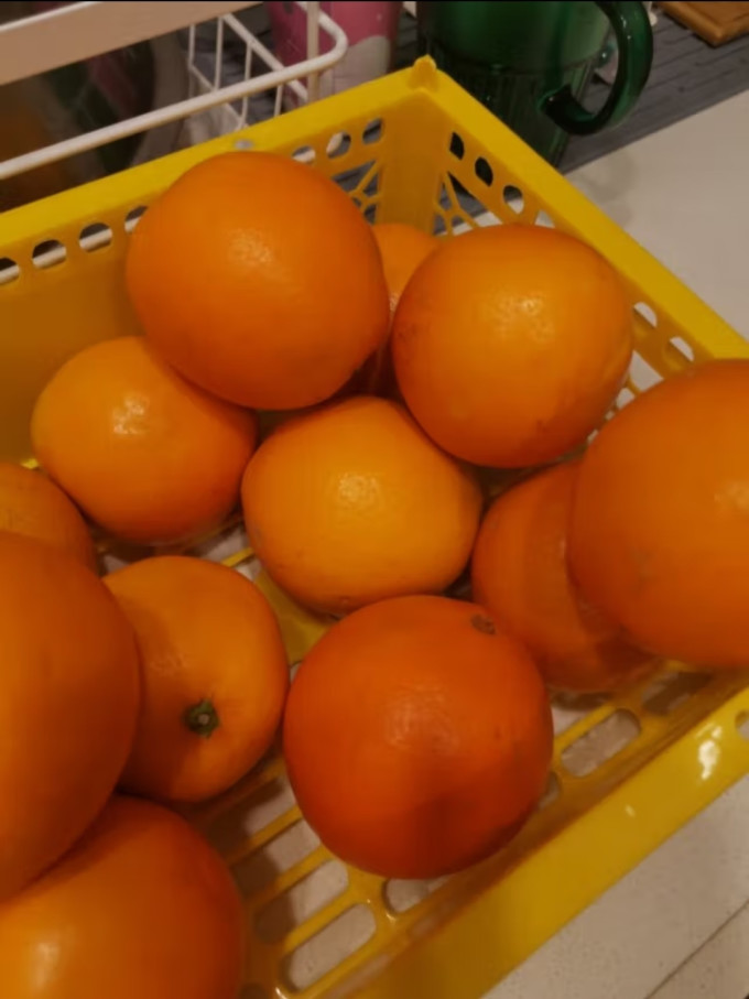 橙之味橙子
