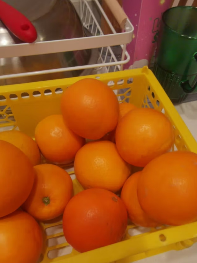 橙之味橙子