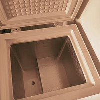 荣事达（Royalstar）小冰柜家用小型冷冻保鲜迷你冷藏商用卧式冷柜