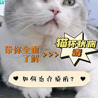 养猫人必看，关于猫杯状要知道的事！（下）