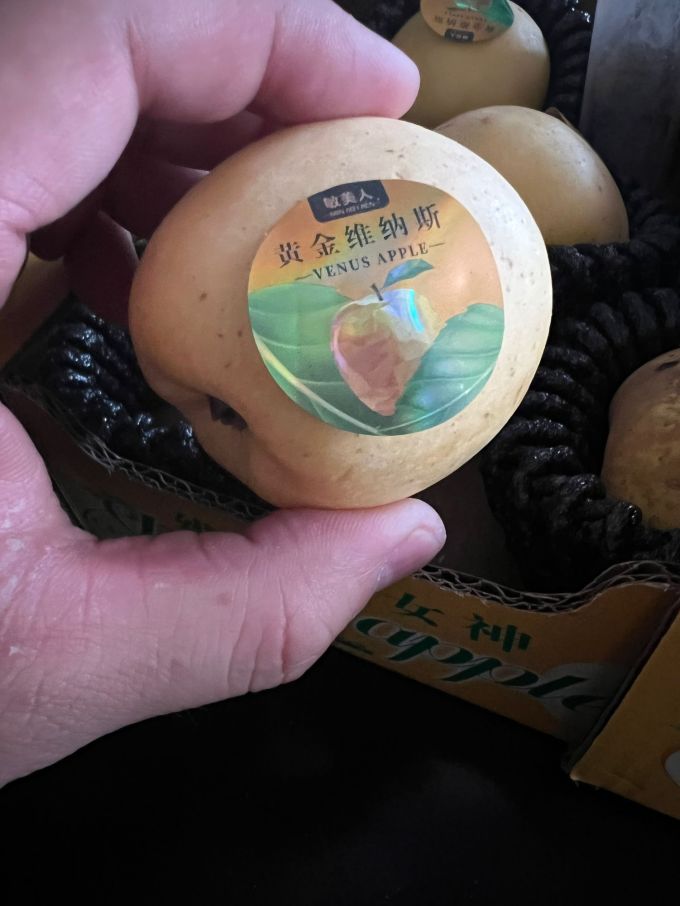 栀舒新鲜水果