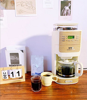 Stelang/雪特朗1609美式咖啡机全自动