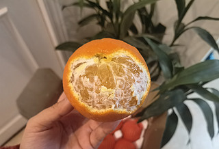 爱媛橙果然爆汁！