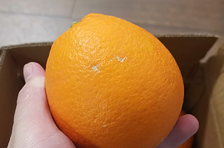 多次回购的巫山恋橙，这次有点不一样