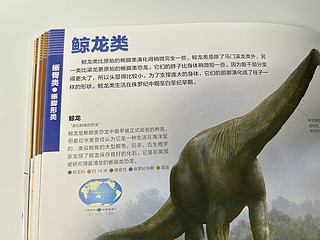 恐龙迷的百科全书