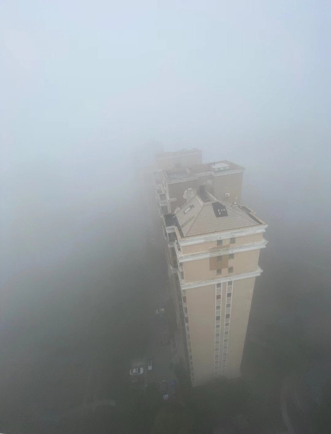 迪怡医用口罩
